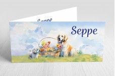 Golden Retriever en Maltezer Golden Retriever en Maltezer